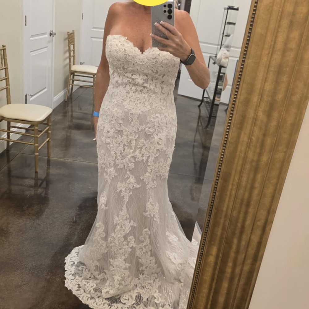 NWT Elegant Lace Wedding Gown SHIMMERS